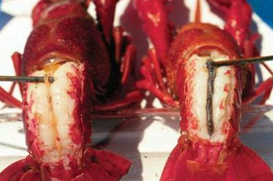 Crawfish