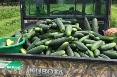 Cukes