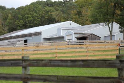 Flying Bee Farms Stables