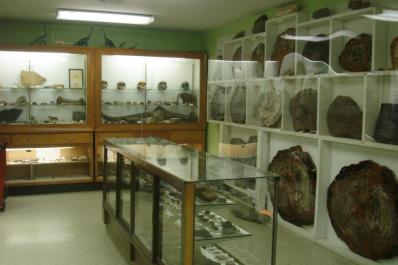 Franklin Mineral Museum Inside 2