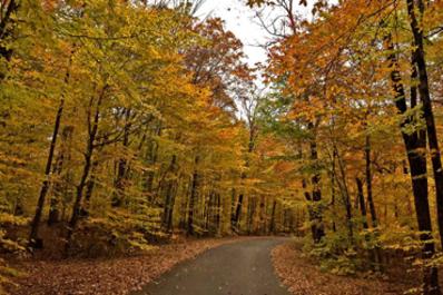 High Point State Park Fall Trail