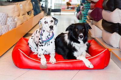 Pet Supplies Plus Pets
