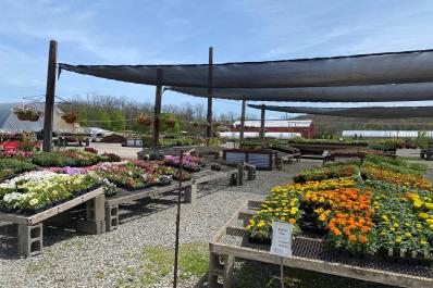 Farmside Gardens 4