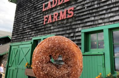 Doughnut at Indian Ladder Farms
