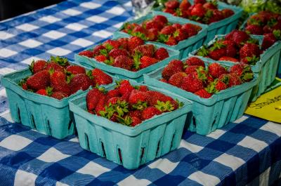 Havre de Grace Farmer's Market