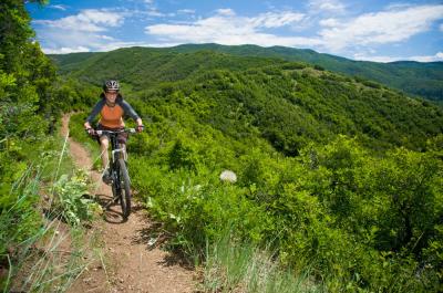 2A Trails Mountain Biking