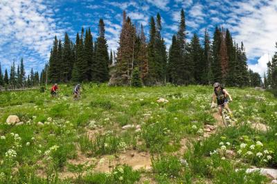 2A Trails Mountain Biking