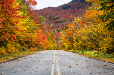 Fall Driving Tour