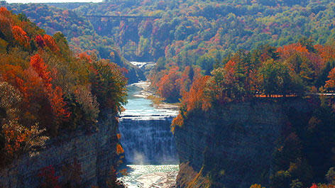 Canyon of Fall Foliage