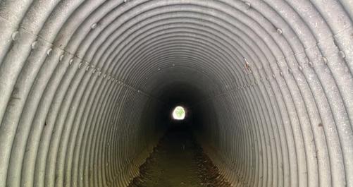 Illinois River Bluff Trail Tunnel
