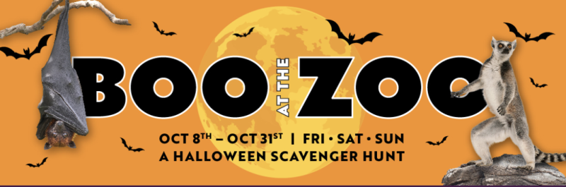 Boo at the Zoo Banner
