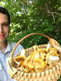 Basket of Chanterelles