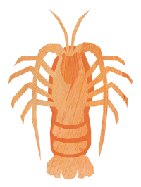 Crayfish icon
