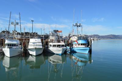 Fresh Fish Off the Boat & Crab for Sale at the Wharf