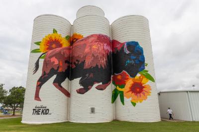 Bison Mural