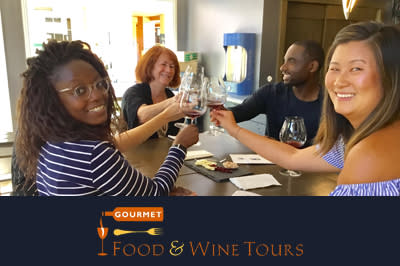gourmet Food and wine tours in Sonoma - friends toasting at a winery and having fun