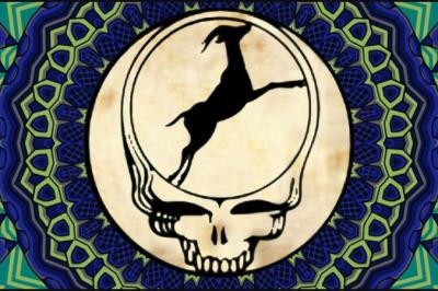 Live Music with Deadphish Duo