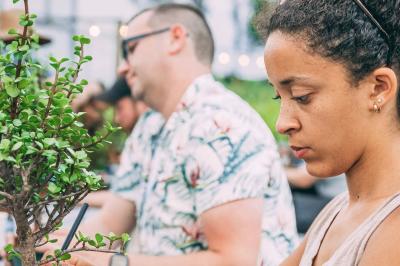 Bonsai Workshop at Asher Brewing