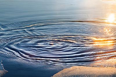 Cantabile Presents: I Will Not Be Silent