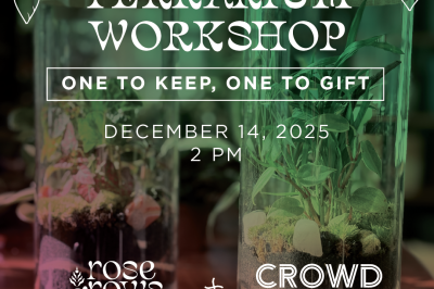 Holiday Terrarium Workshop - One to Keep, One to Gift