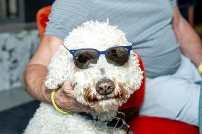 Pet Caricature & Yappy Hour