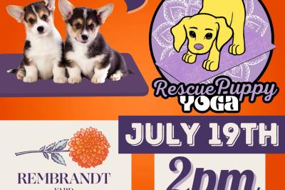 Rescue Puppy Yoga