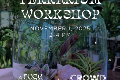 Terrarium Workshop