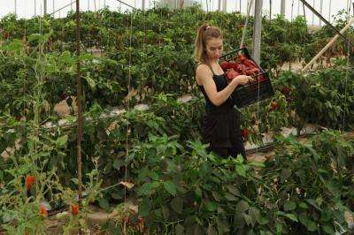 Intro to Our Local Food Systems with Slow Food Boulder County