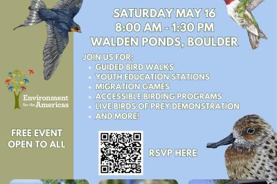World Migratory Bird Day of the Rockies