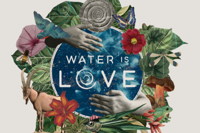 Water Is Love: Ripples of Regeneration