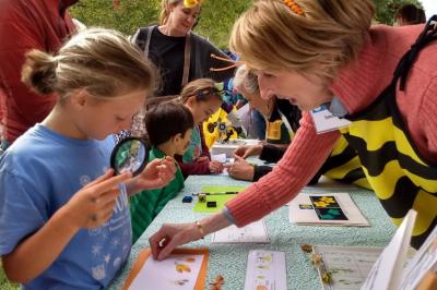 Bee Boulder Festival