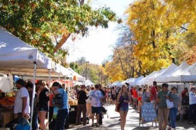 Wednesday Farmers Market