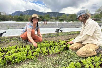 Growing Gardens Front Range Vegetable Gardening 101