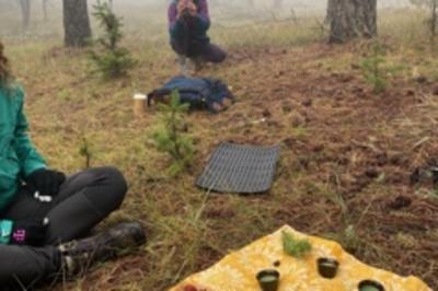 Fall Forest Bathing with Darlene Rooney-Keller