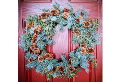Handmade Holiday Cheer: Wreath Making Workshop at Moss Houseplants!