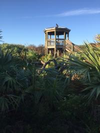 Ponce Preserve Observation Tower near Daytona Beach
