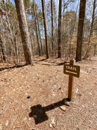 Mayo Lake Trails