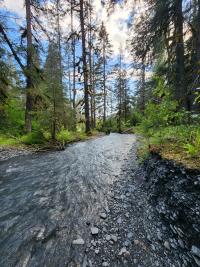 ATV Seward