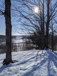 Rolling Hills of Leelanau from Rove Estate