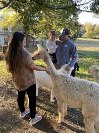 Family petting alpacas on the farm.