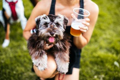 pints & pups