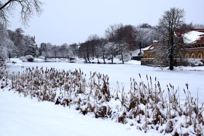 Washington Park winter