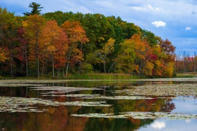 Fall at Ann Lee Pond Nature Preserve