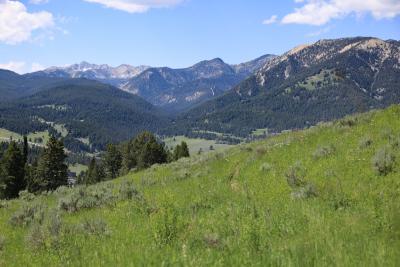 Hiking in Big Sky