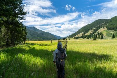 Summer Fly Fishing