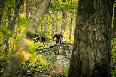 A mountain biker rides on a narrow, rocky trail in an autumn woodsy area.