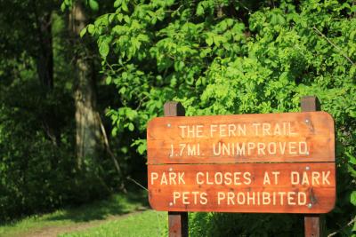 Trail signage and lush green forest at Clear Creek Metro Park in Hocking Hills