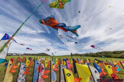 Cherry Valley Kite Festival