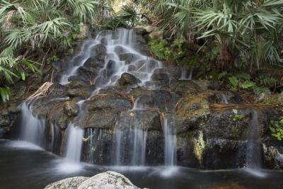 Waterfall at Ormond Memorial Art Museum and Gardens