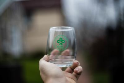 Historic Dublin wine trail